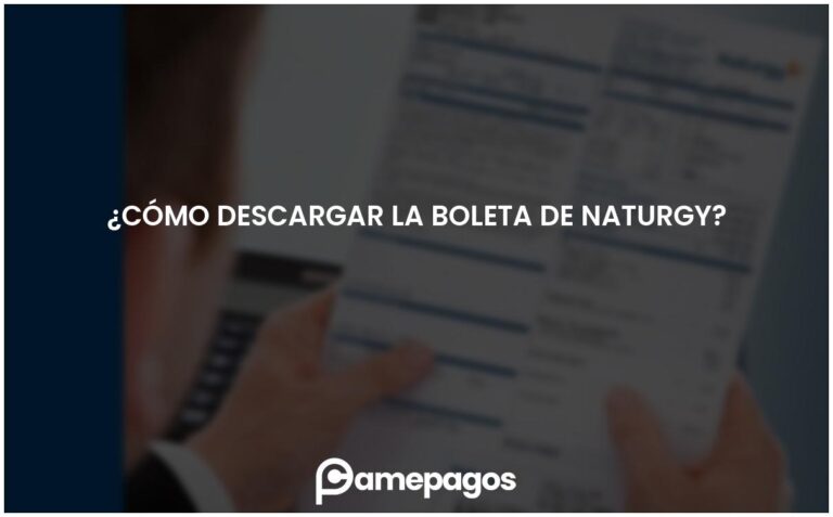 ¿Cómo descargar la boleta de Naturgy?