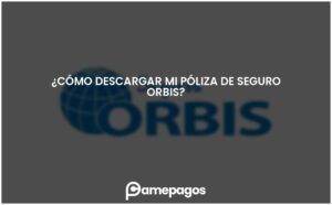 Lee más sobre el artículo ¿Cómo descargar mi póliza de seguro Orbis?