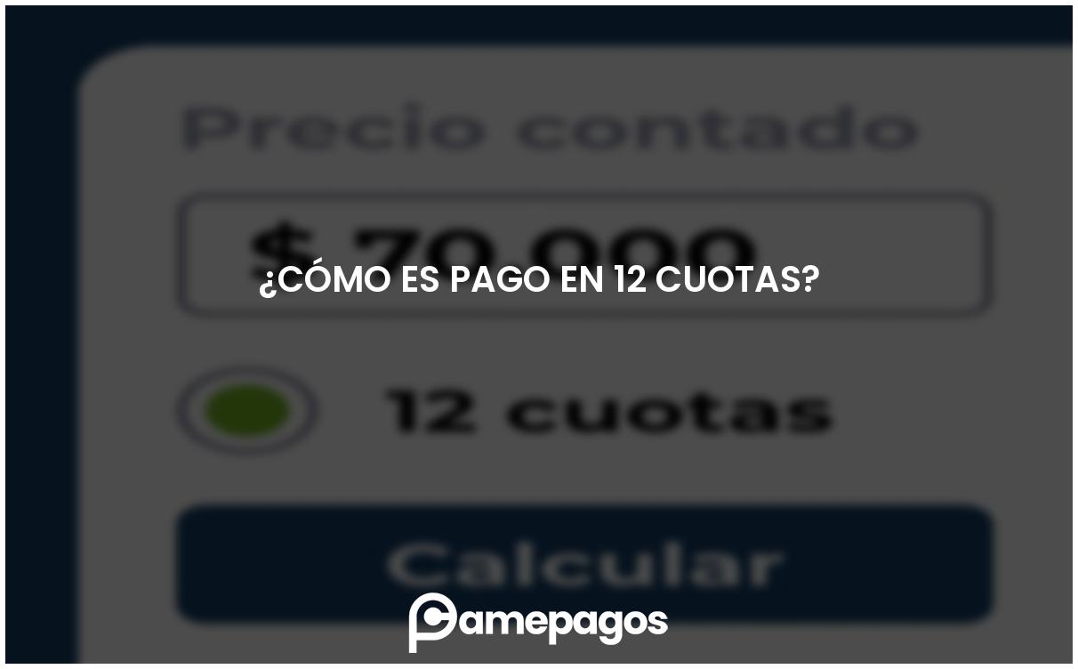En este momento estás viendo ¿Cómo es pago en 12 cuotas?