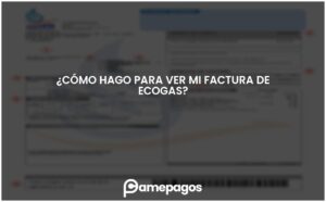 Lee más sobre el artículo ¿Cómo hago para ver mi factura de Ecogas?