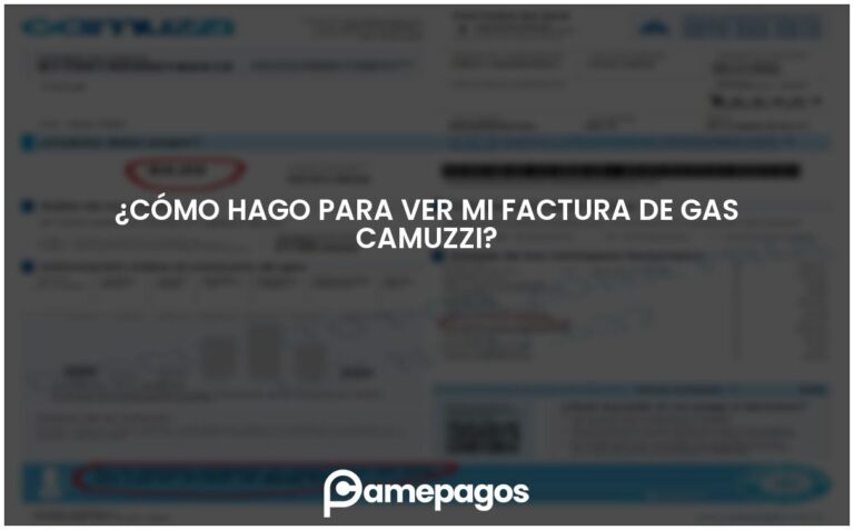 ¿Cómo hago para ver mi factura de gas Camuzzi?