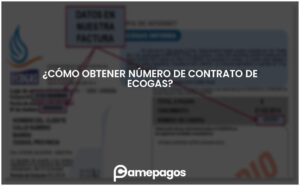 Lee más sobre el artículo ¿Cómo obtener número de contrato de Ecogas?