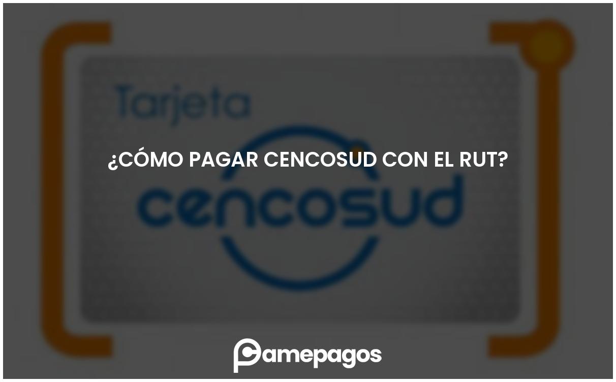 En este momento estás viendo ¿Cómo pagar Cencosud con el RUT?