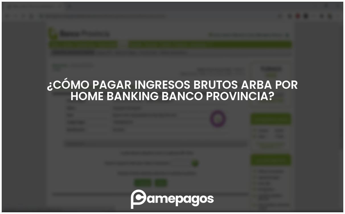 En este momento estás viendo ¿Cómo pagar Ingresos Brutos ARBA por home banking Banco provincia?
