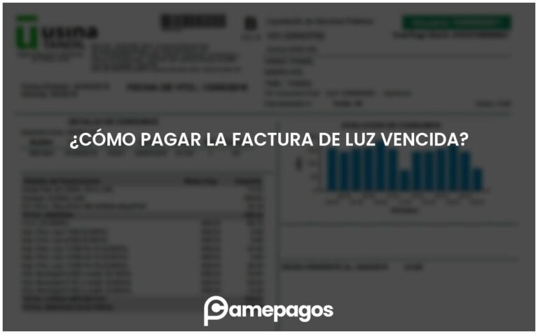¿Cómo pagar la factura de luz vencida?