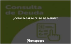Lee más sobre el artículo ¿Cómo pagar mi deuda de patente?