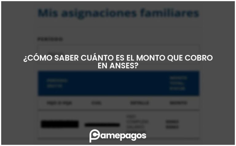 ¿Cómo saber cuánto es el monto que cobro en Anses?