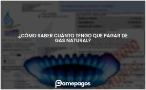 Lee más sobre el artículo ¿Cómo saber cuánto tengo que pagar de gas natural?
