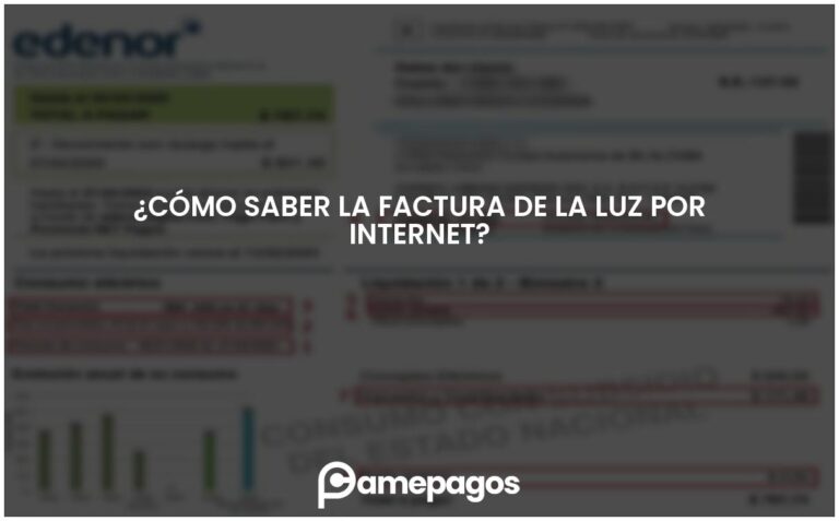 ¿Cómo saber la factura de la luz por internet?