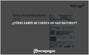 Lee más sobre el artículo ¿Cómo saber mi cuenta de gas Naturgy?