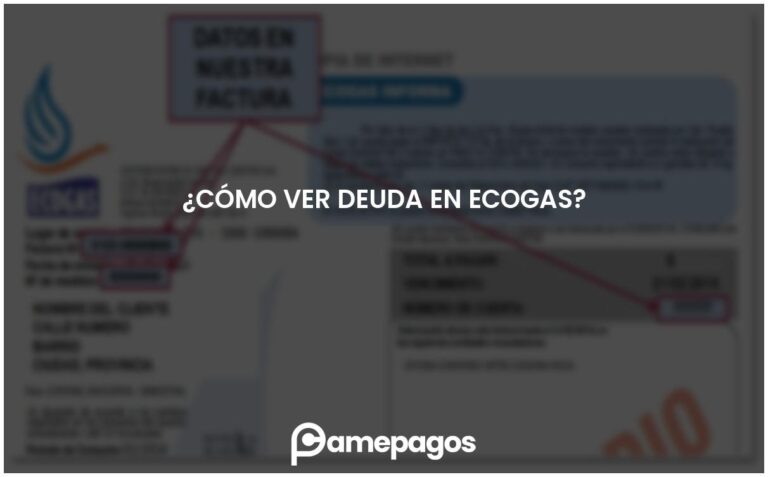¿Cómo ver deuda en Ecogas?