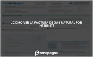 Lee más sobre el artículo ¿Cómo ver la factura de gas natural por Internet?