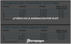 Lee más sobre el artículo ¿Cuánto es la asignacion por hijo?