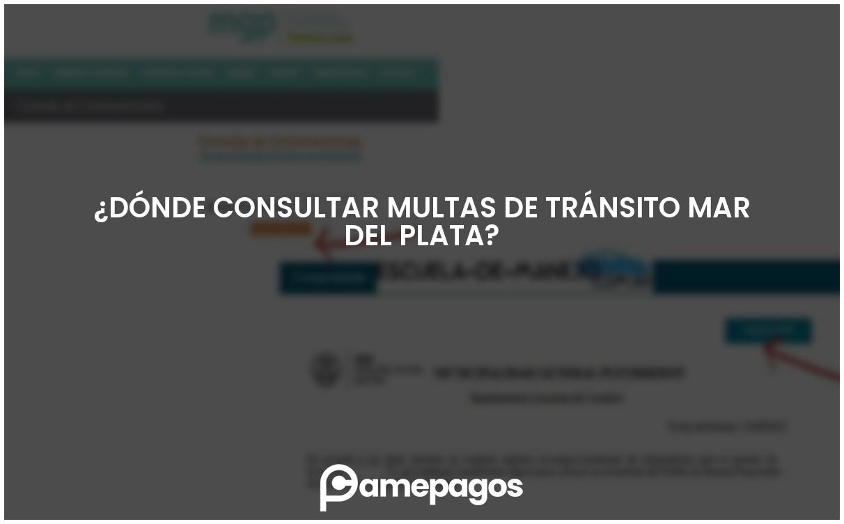 En este momento estás viendo ¿Dónde consultar multas de tránsito Mar del Plata?