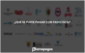 Lee más sobre el artículo ¿Que se puede pagar con Pago Fácil?